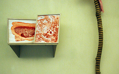 Ausstellung Inge Schmidt