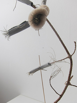 gewärmte Kiefer, 2015, © Inge Schmidt