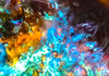 Astrid Lowack - Elements of Transcendence