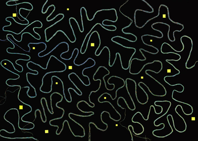 Ausstellung Alexandra Knie - Space Plants