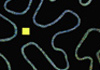 Ausstellung Alexandra Knie - Space Plants