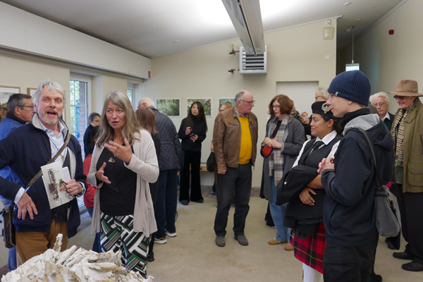 BKV Ausstellung The Forest - Der Wald - La Forêt