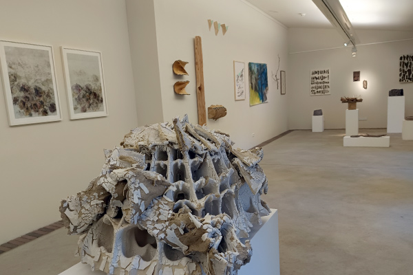 BKV Ausstellung The Forest - Der Wald - La Forêt