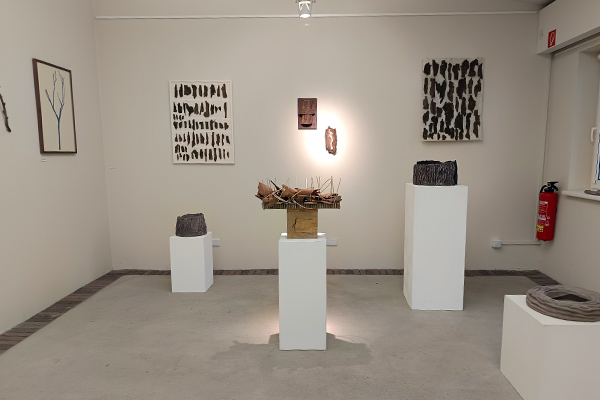 BKV Ausstellung The Forest - Der Wald - La Forêt