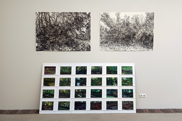 BKV Ausstellung The Forest - Der Wald - La Forêt