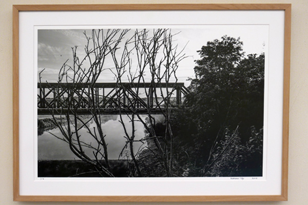 BKV Ausstellung The Forest - Der Wald - La Forêt