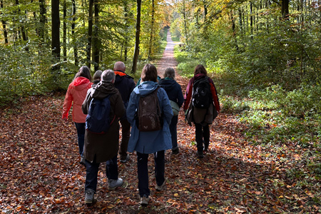 BKV Waldbaden