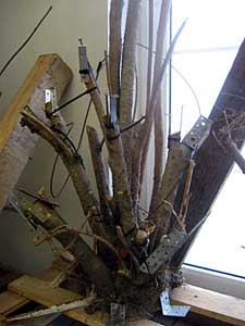 Bilder aus der Ausstellung; ©Goldbach/BKV/Wagner