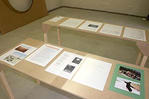 Blick in die Ausstellung; ©Marina Naprushkina