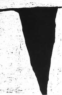 Martin Nol