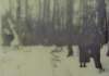 Winterwald - Barbara Wagner