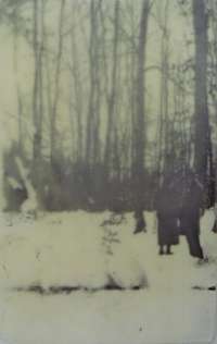 Winterwald; ©Barbara Wagner